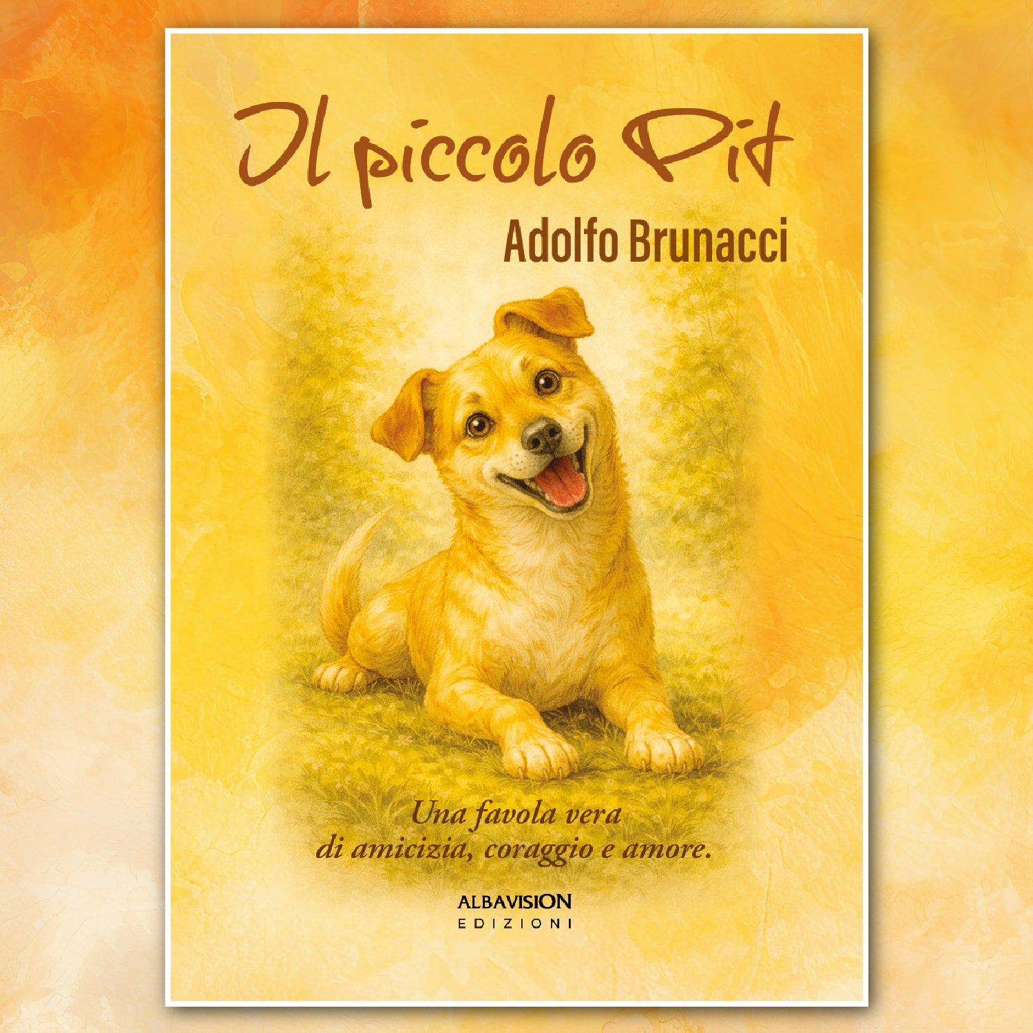 Il piccolo Pit